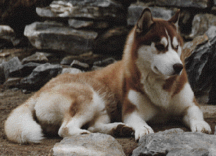 Proyecto de Arquitectura Interior