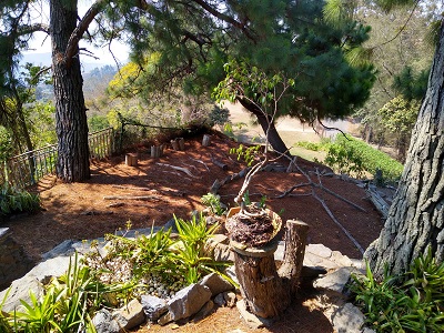 Proyecto de Arquitectura — foto 6