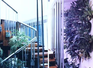 Proyecto de Arquitectura Interior