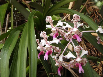 Proyecto de Arquitectura