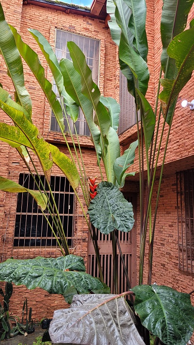 Proyecto de Arquitectura