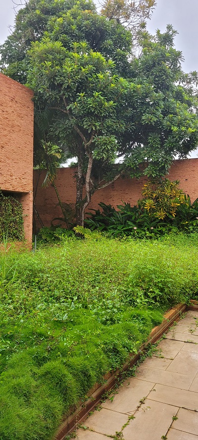 Proyecto de Arquitectura — foto 2